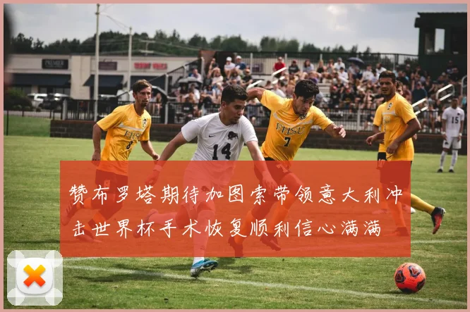 赞布罗塔期待加图索带领意大利冲击世界杯手术恢复顺利信心满满
